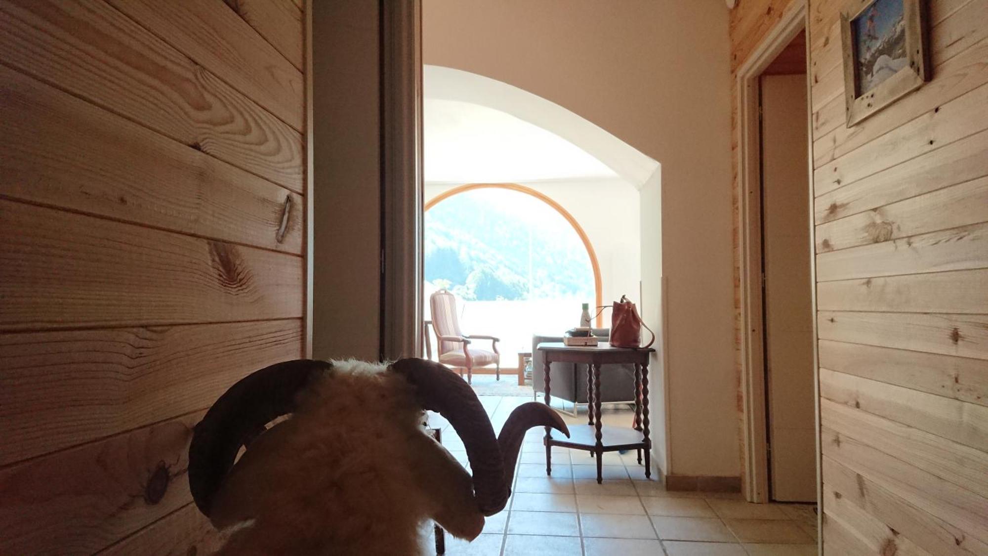 Superbe Logement 12 Pers Famille Ou Groupe. Laruns Extérieur photo